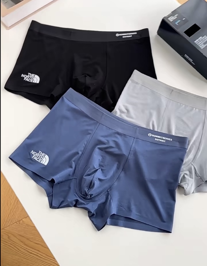 The North Face boxer 0617